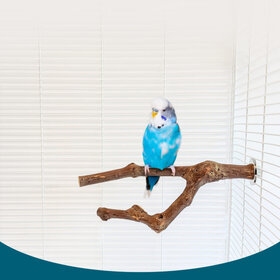 Hari HARI GRAPEVINE BIRD PERCH – X-SMALL TO SMALL BIRDS
