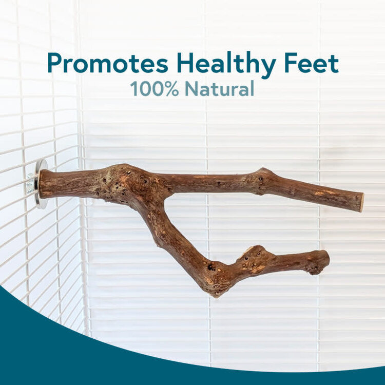 Hari HARI GRAPEVINE BIRD PERCH – NATURAL WOOD PERCH FOR X-SMALL TO SMALL BIRDS