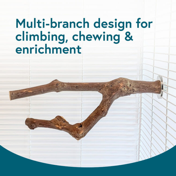 Hari HARI GRAPEVINE BIRD PERCH – NATURAL WOOD PERCH FOR X-SMALL TO SMALL BIRDS
