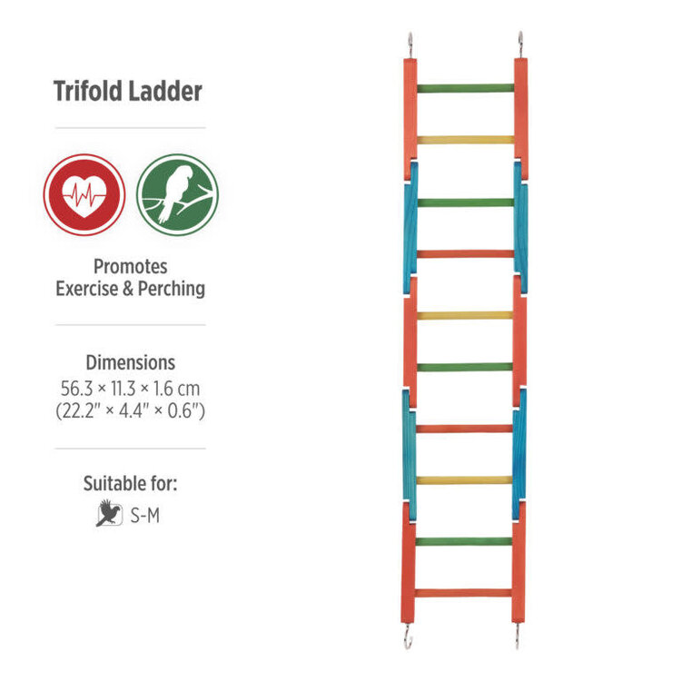 Hari HARI SMART.PLAY TRI-FOLD LADDER – EXERCISE & PERCHING TOY FOR SMALL & MEDIUM BIRDS