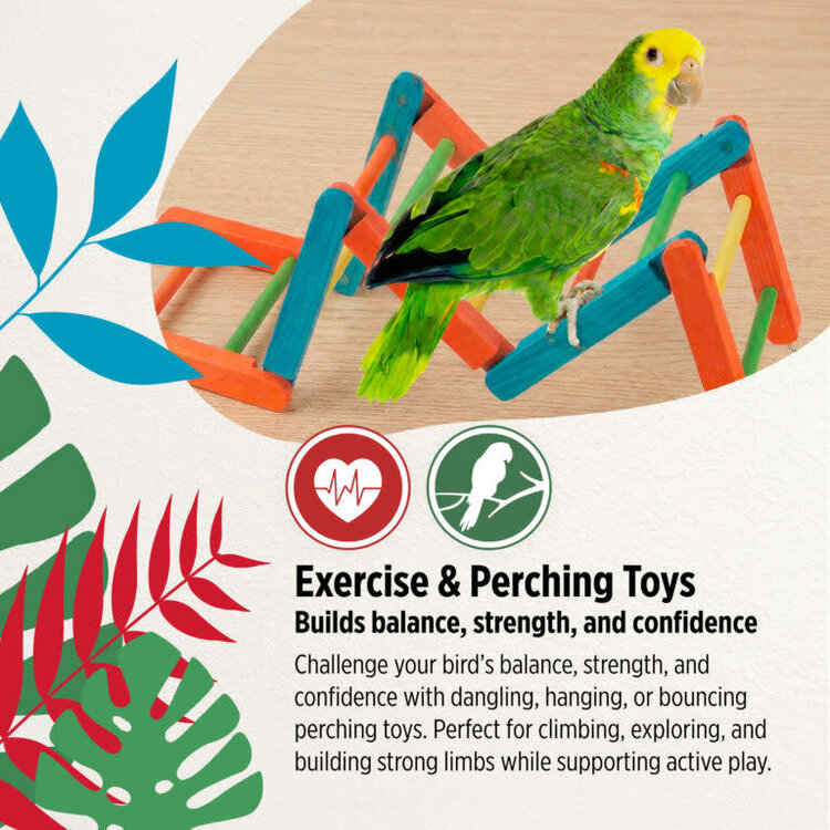 Hari HARI SMART.PLAY TRI-FOLD LADDER – EXERCISE & PERCHING TOY FOR SMALL & MEDIUM BIRDS