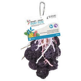 Hari HARI SMART.PLAY GRAPE CLUSTER – ENRICHMENT PARROT TOY FOR SMALL & MEDIUM BIRDS