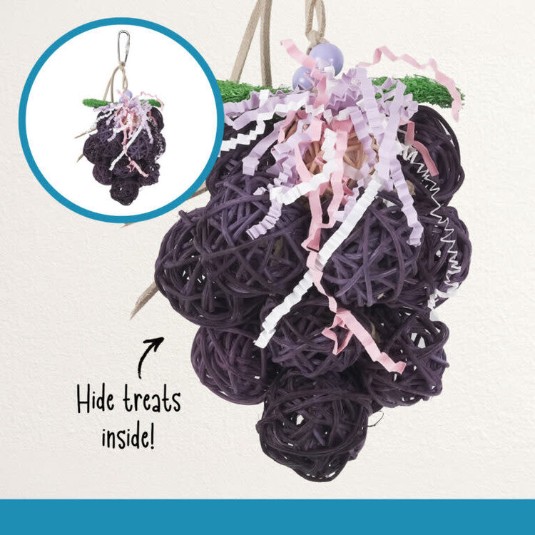Hari HARI SMART.PLAY GRAPE CLUSTER – NATURAL FORAGING & PREENING ENRICHMENT PARROT TOY FOR SMALL & MEDIUM BIRDS