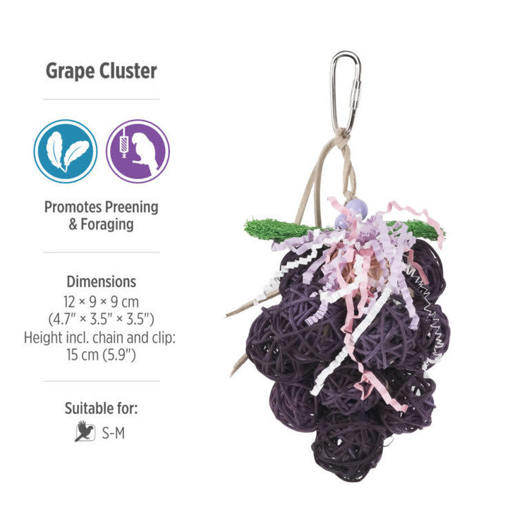 Hari HARI SMART.PLAY GRAPE CLUSTER – NATURAL FORAGING & PREENING ENRICHMENT PARROT TOY FOR SMALL & MEDIUM BIRDS