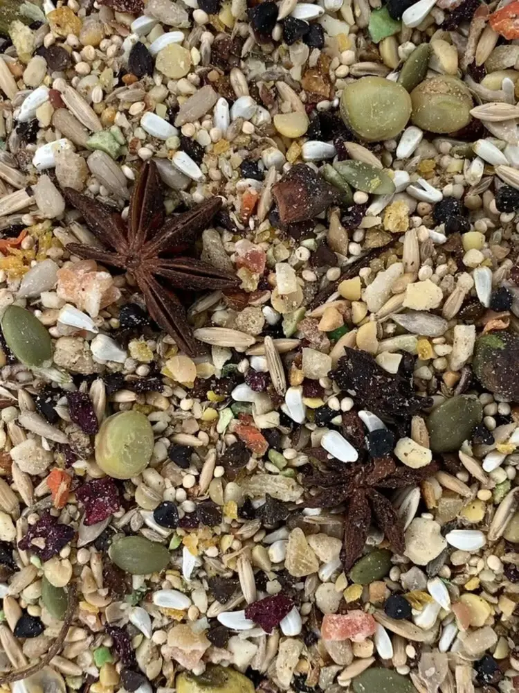 Goldenfeast GOLDENFEAST SOUTH AMERICAN BLEND BIRD FOOD 7.94 KG