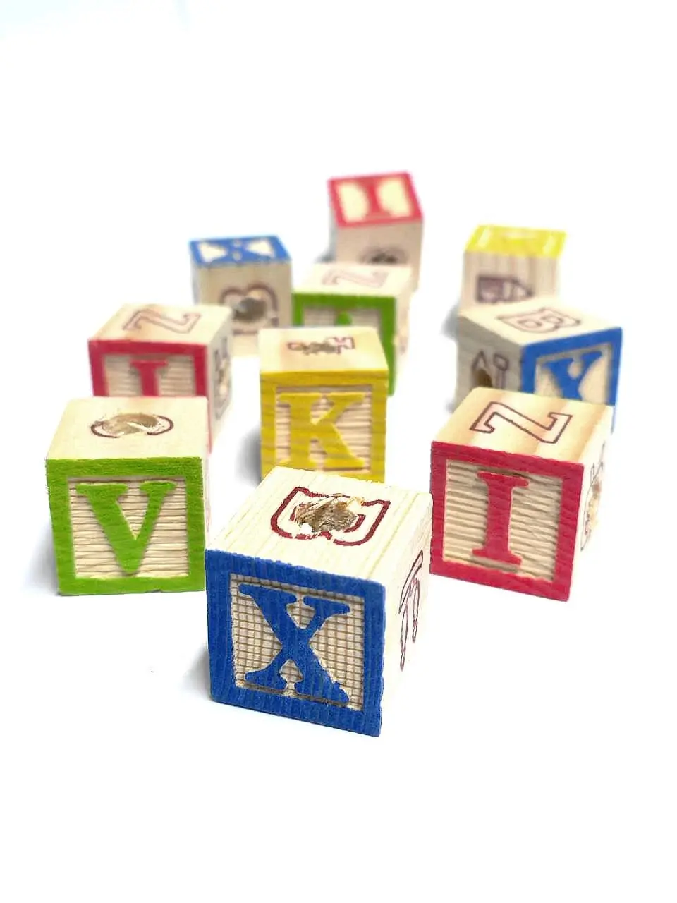 ABC Blocks Drilled 403 - Chirp N Dales Pet Supply