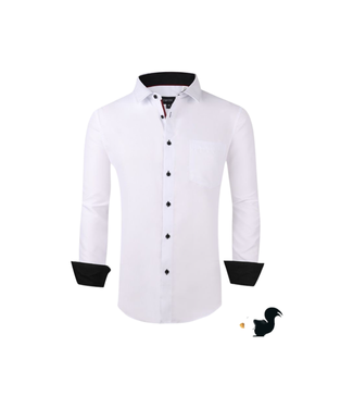 Pavini Classic White Button Down