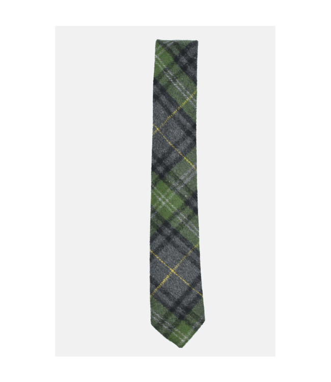 Curated Basics Green Plaid Tie