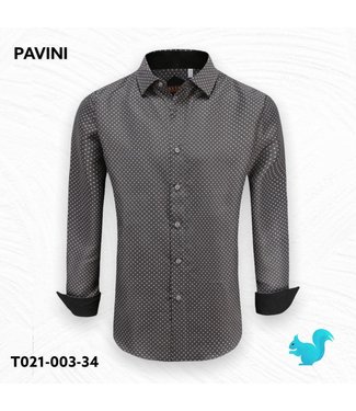 Pavini Comma Button Down