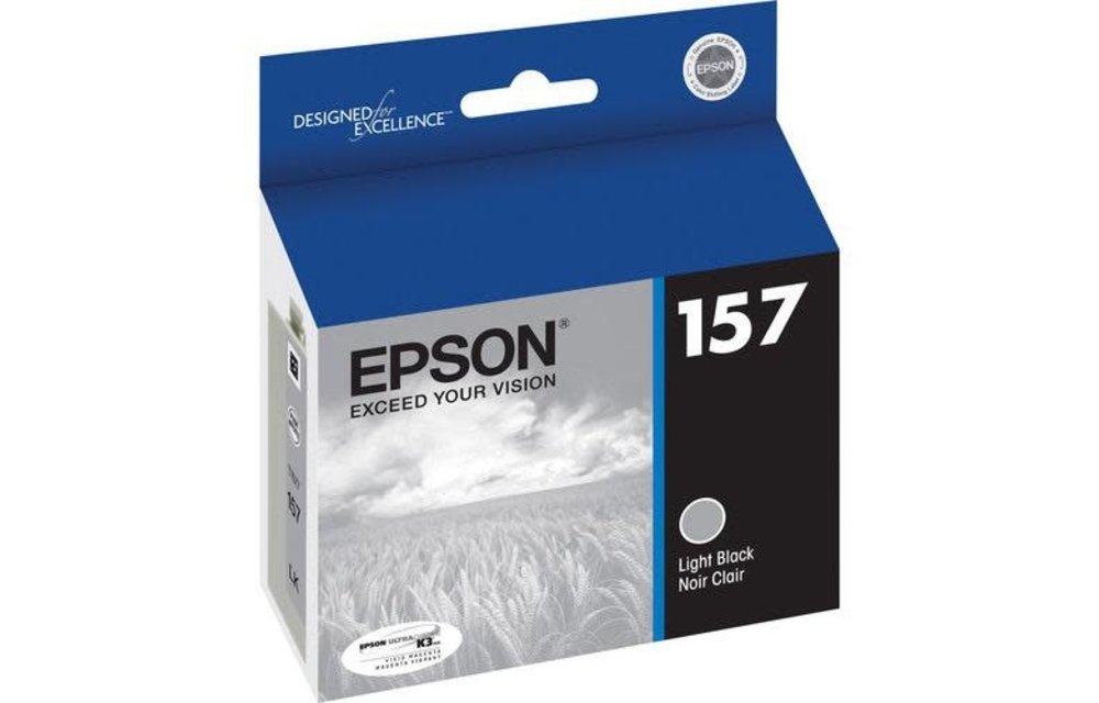 Epson Ink - R3000 Light Black