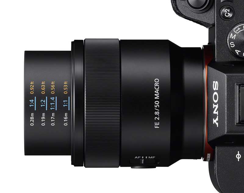 Sony FE 50mm F2.8 Macro Lens - Looking Glass Photo & Camera