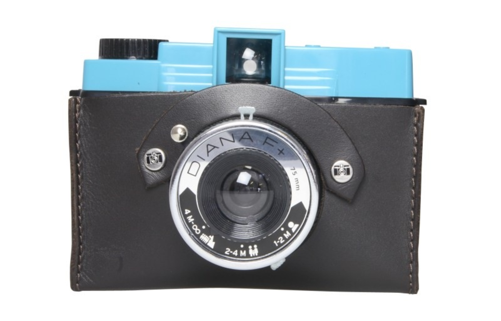 The Diana Case