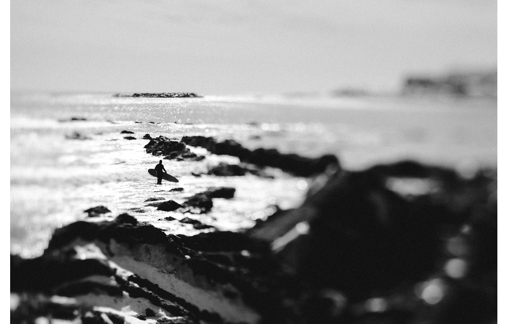 Lensbaby Composer Pro II w/ Edge 80 Canon EF