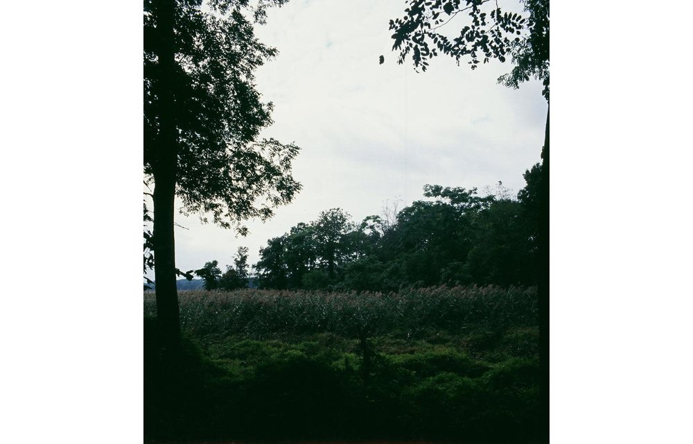 KODAK PROFESSIONAL EKTACHROME E100 Film / 120 SINGLE ROLL