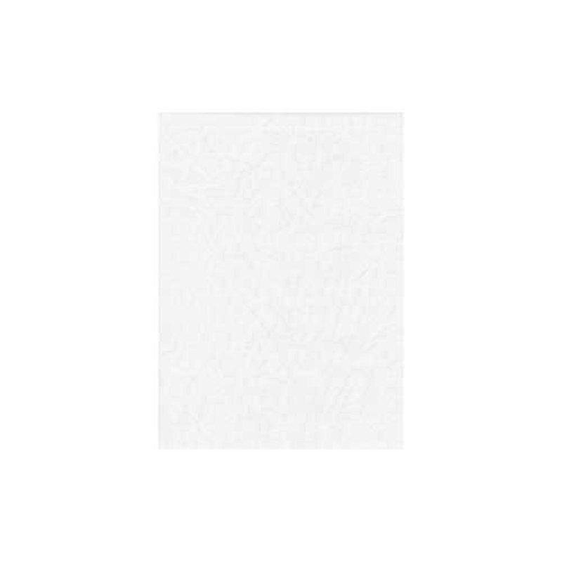 Promaster PRO Solid Backdrop - 10x12' - White