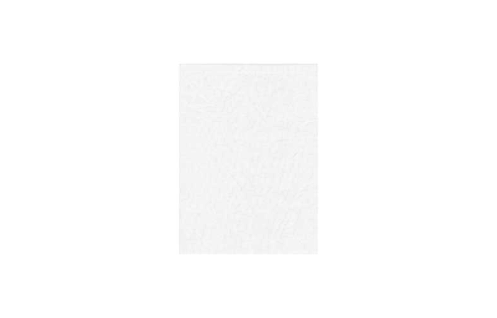 PRO Solid Backdrop - 10x20' - White
