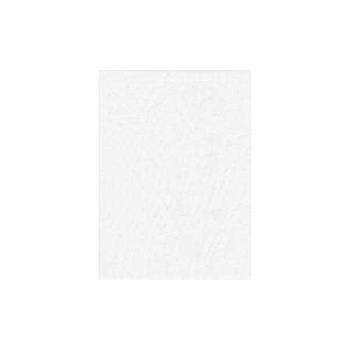 Promaster PRO Solid Backdrop - 10x20' - White