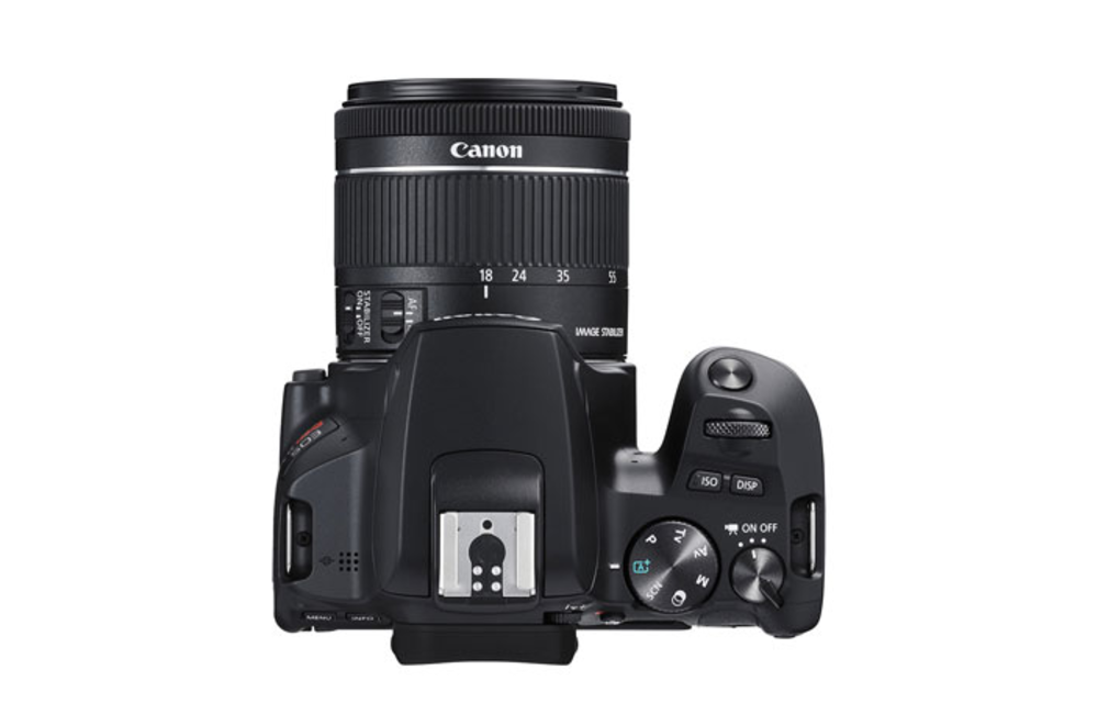Canon EOS Rebel SL3 DSLR w/ EF-S 18-55 f/4-5.6 IS STM lens - Black