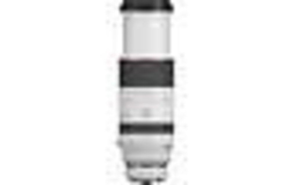 Canon RF 100-500mm F/4.5-7.1L IS USM R-Series Lens