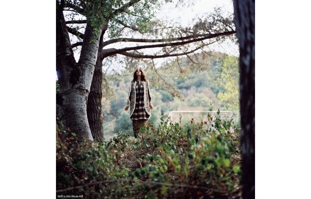 Cinestill 50 Daylight Color Film 120