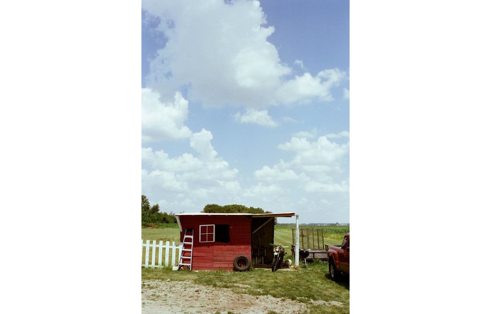 Cinestill 50 Daylight Film 35 x 36