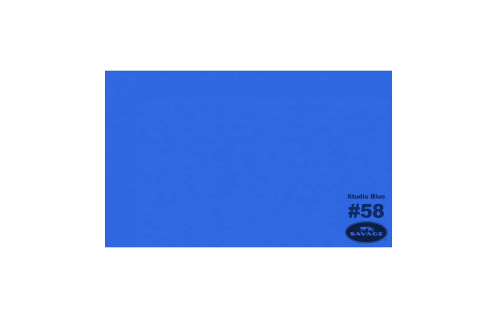 Savage Studio Blue 53"x12 yd