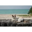 Fujinon XF 55-200mm F3.5-4.8 R LM OIS Lens