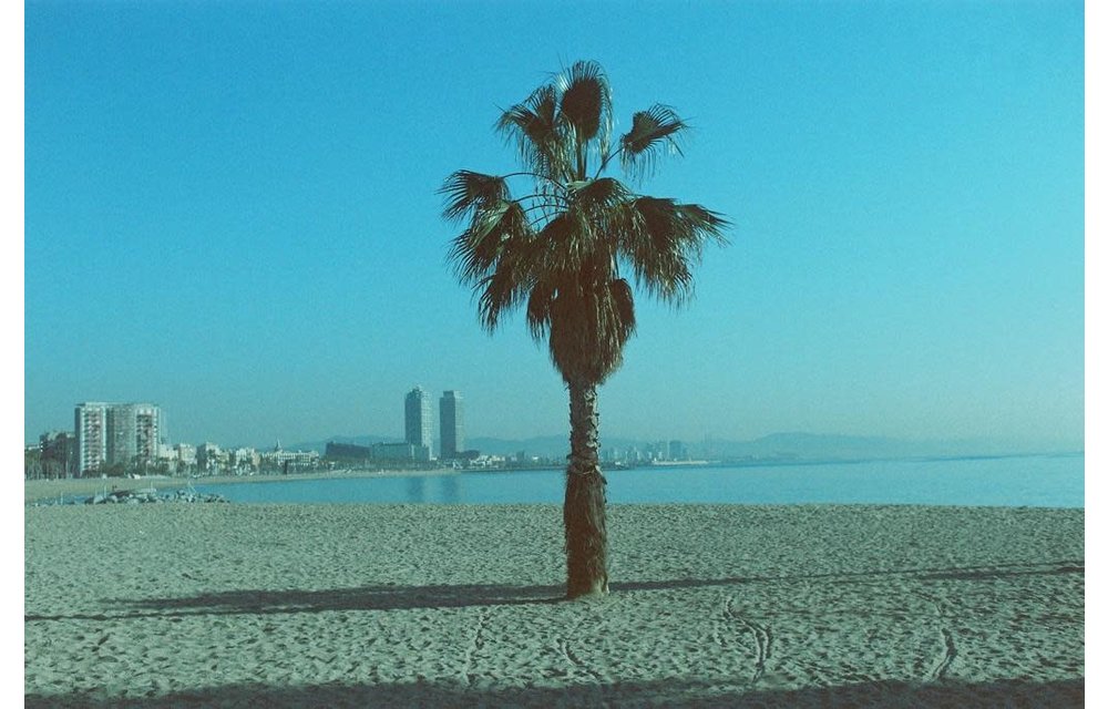 Dubble Film C-41 PACIFIC ISO 200 - 135-36exp single roll