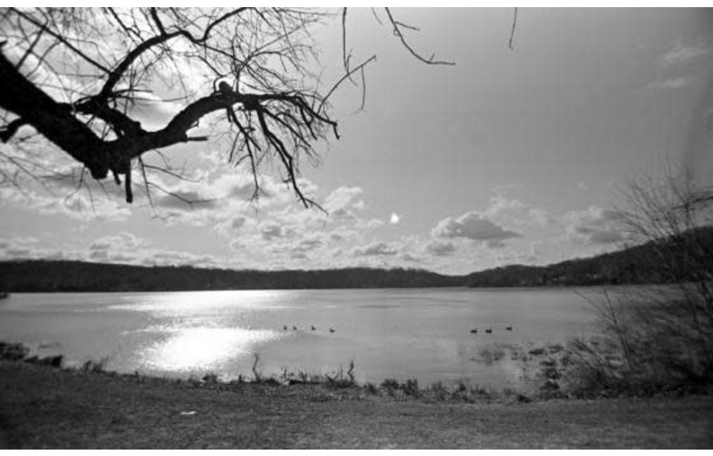 Film Photography Project LOW ISO B&W Negative 35MM FILM - ISO 6 - 24EXP single roll