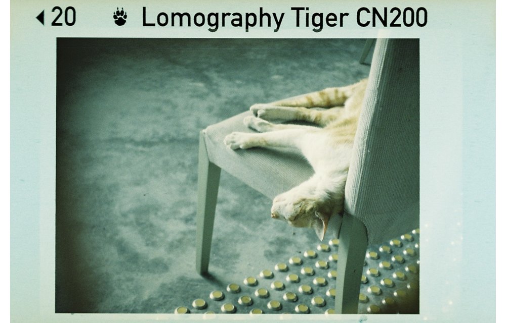 Lomography Color Tiger 110 film 200 ASA - single roll