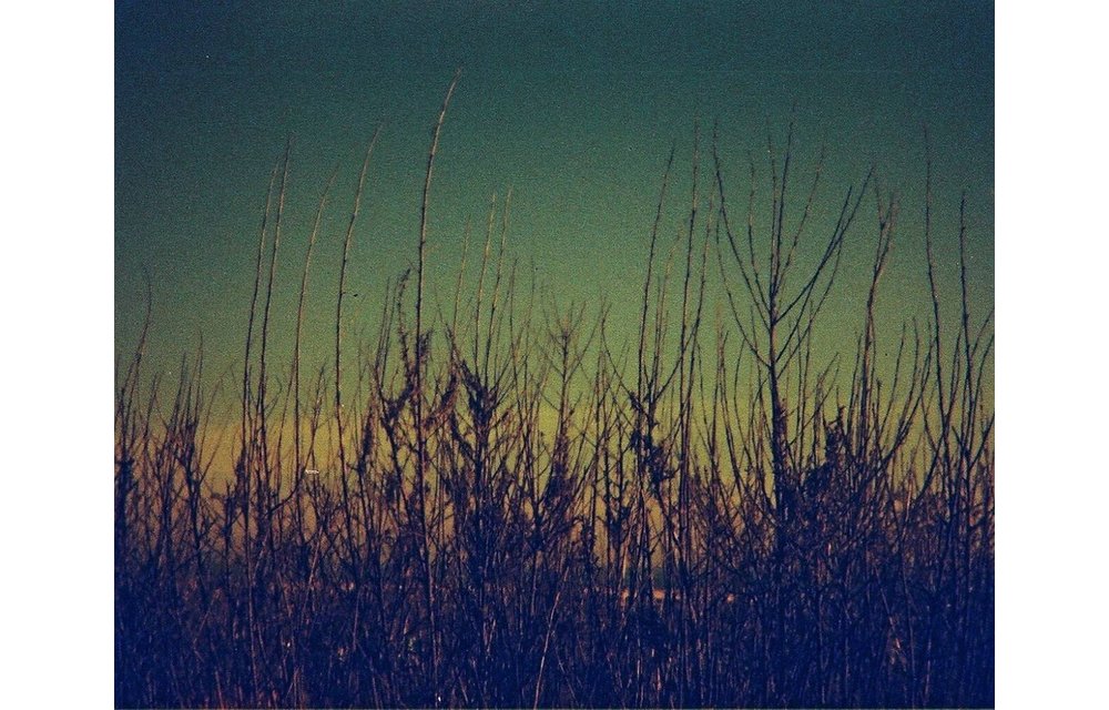 Lomography Lobster Redscale XR 110 film 200 ASA - Single Roll