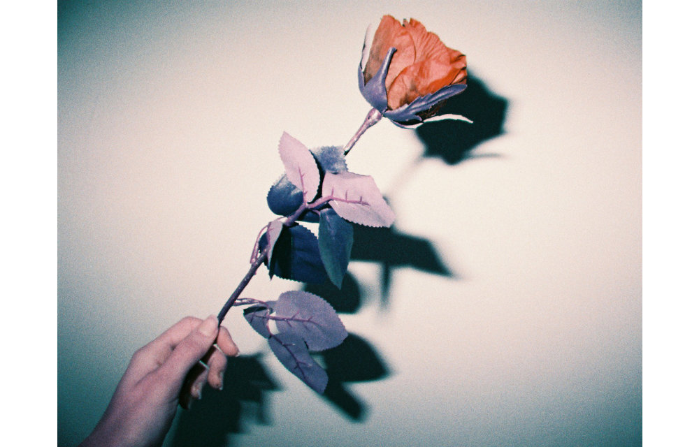 Lomography Lomochrome Purple XR 110 Film - Single Roll