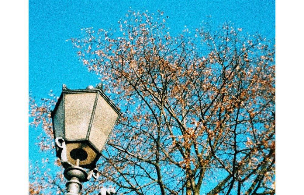 Lomography Peacock X-Pro 110 film 200 ASA - single roll