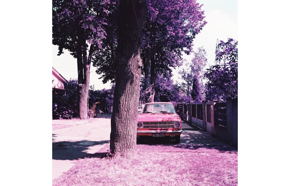 Lomography Lomochrome Purple XR 100-400 ASA 120 Film - Single Roll