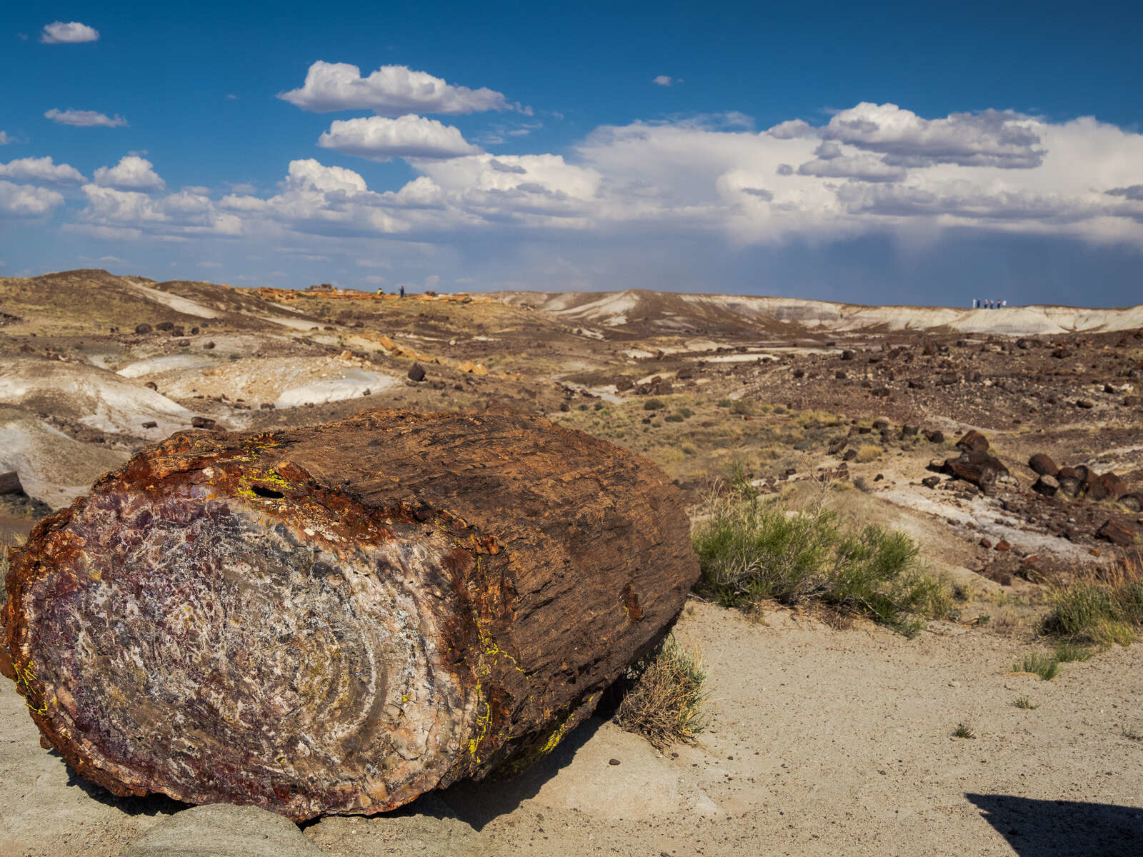 Planning a Photography Adventure in the Desert