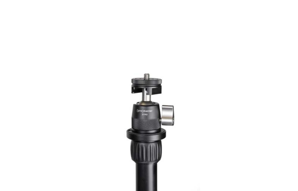 Promaster Famous Shoes Ball Head