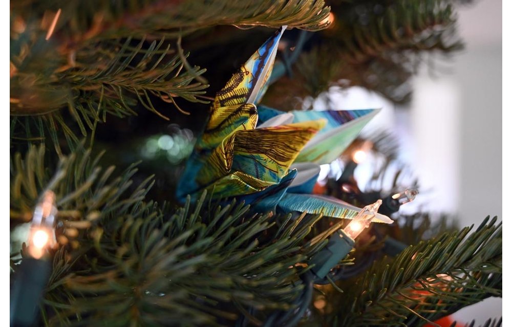 Origami Photo Ornament: Iris