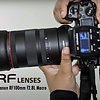 Canon RF100mm f2.8L Macro: So Much More than Macro