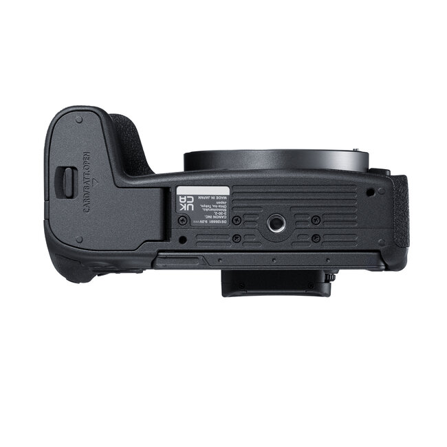 Canon EOS R8 FullFrame Mirrorless RSeries Camera Body Looking Glass Photo & Camera