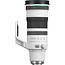 Canon RF 100-300mm F2.8L IS USM R-Series Lens