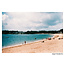 HARMAN Phoenix 200 135-36exp. Color Negative Film - single roll