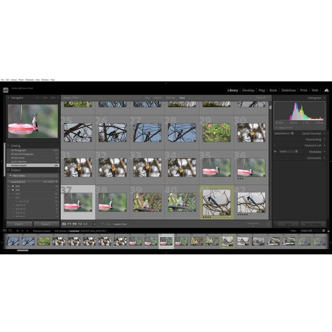 Lightroom Library Module Workshop: Image Organization & Workflow (2-Part Class: 10/8/24 and 10/15/24)