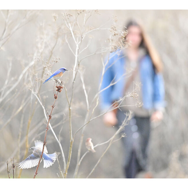 Women's Photo Walk in Nature