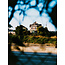 Harman Phoenix 200 Color 120 Film