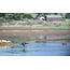 Sunrise on the Slough: A Photography Excursion with Looking Glass (April 27 and May 6)