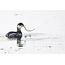Sunrise on the Slough: A Photography Excursion with Looking Glass (April 27 and May 6)