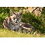 Three Day Nature Photography Workshop - May 21st