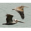 Three Day Nature Photography Workshop - May 21st