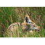 Three Day Nature Photography Workshop - May 21st