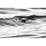 Three Day Nature Photography Workshop - May 21st